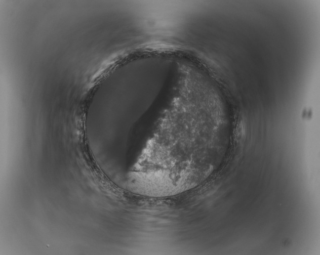 X0000111441397200907271118