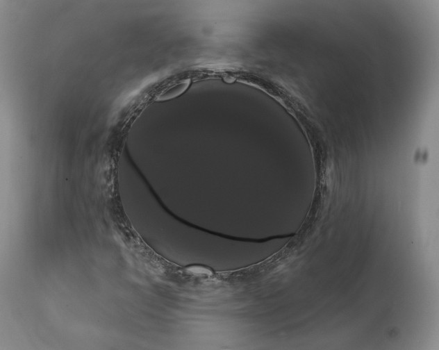 X0000111441398200907271118