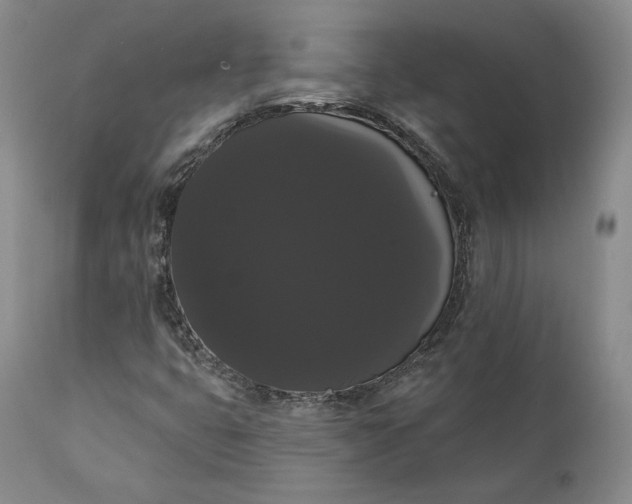 X0000111441399200907271118