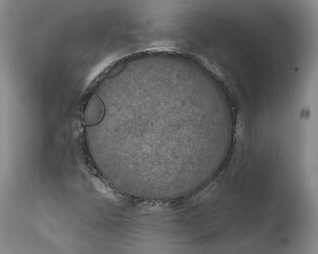 X0000111441400200907271118