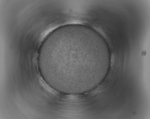 X0000111441404200907271118