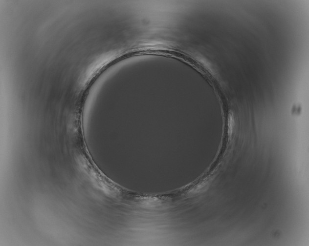 X0000111441405200907271118