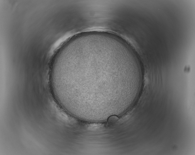 X0000111441406200907271119