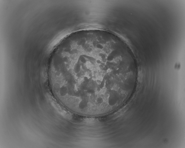 X0000111441407200907271119