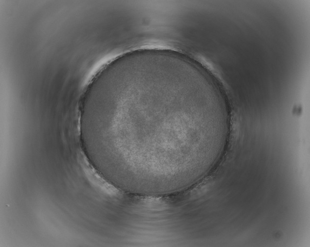 X0000111441408200907271119