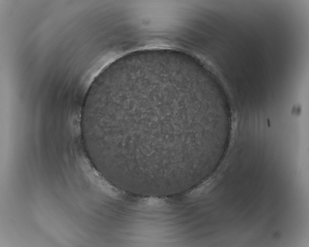 X0000111441409200907271119