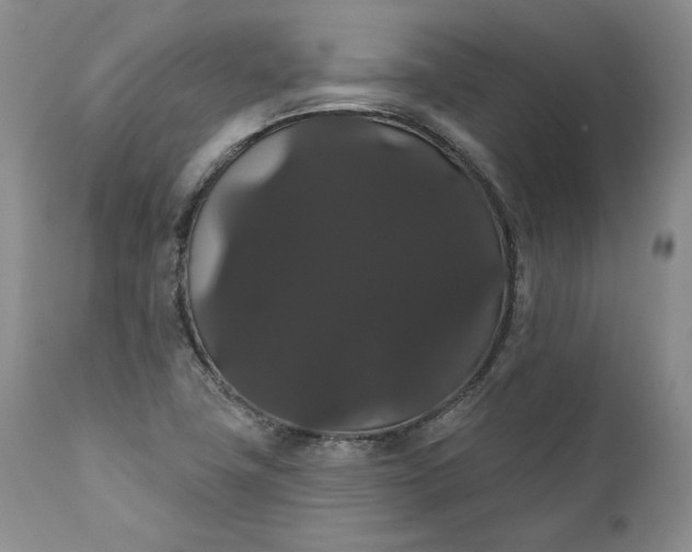 X0000111441411200907271119