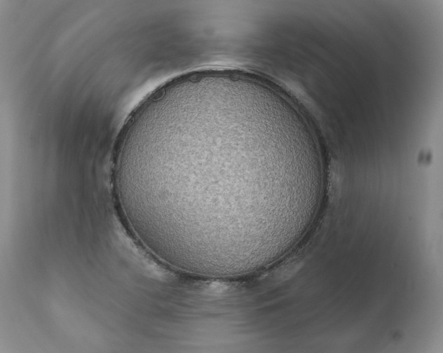 X0000111441412200907271119