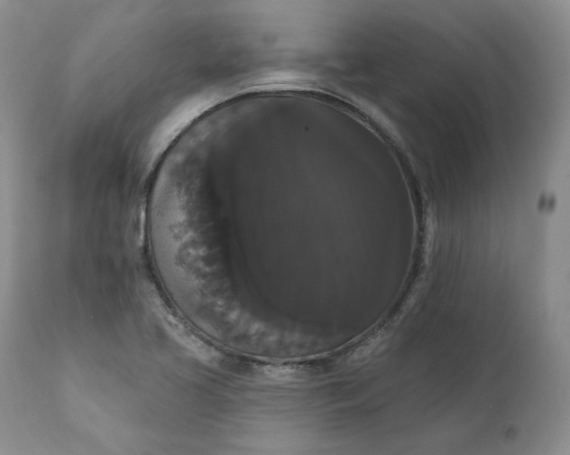 X0000111441413200907271119