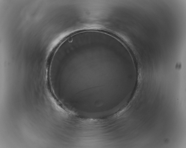 X0000111441414200907271119