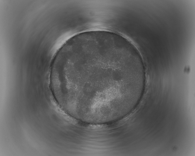 X0000111441415200907271119