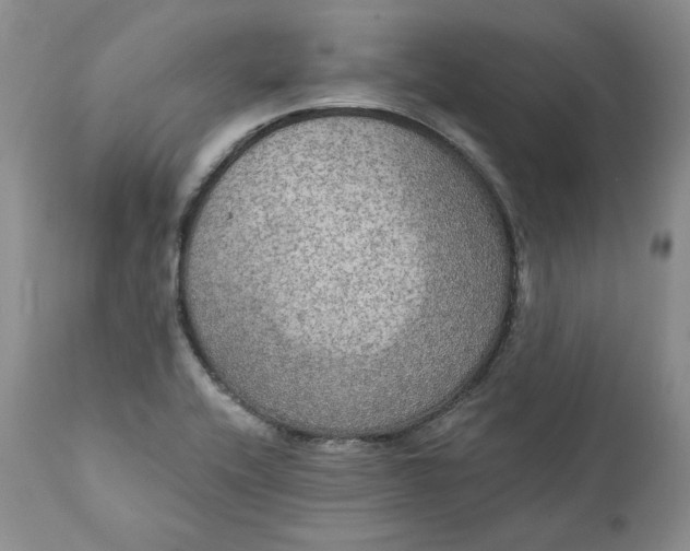 X0000111441416200907271119