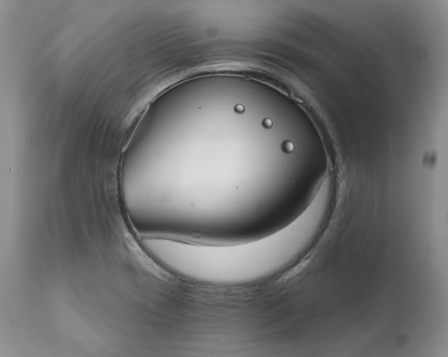 X0000111441417200907271119