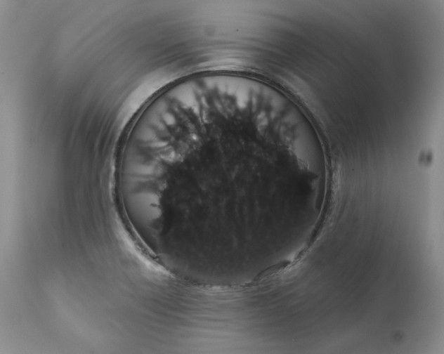 X0000111441418200907271119