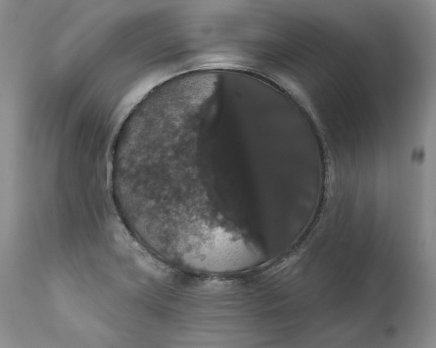 X0000111441419200907271119