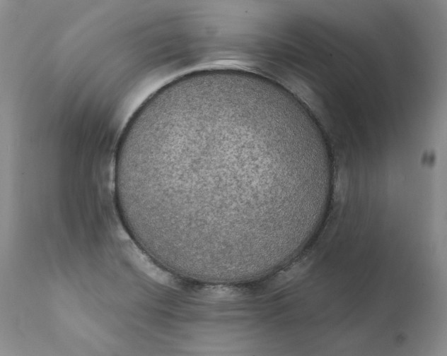 X0000111441420200907271119