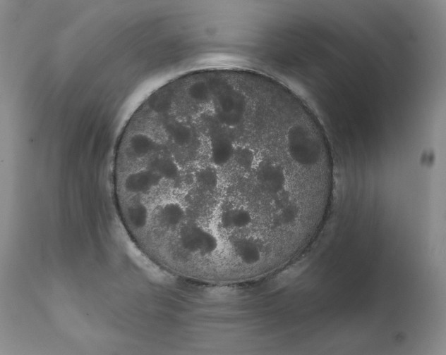 X0000111441421200907271119