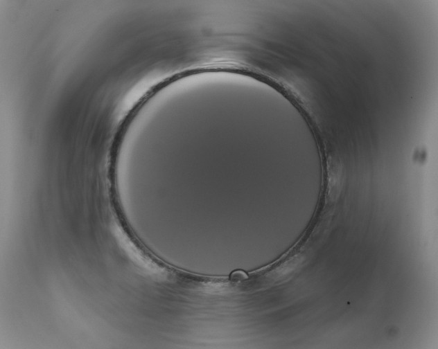 X0000111441422200907271119