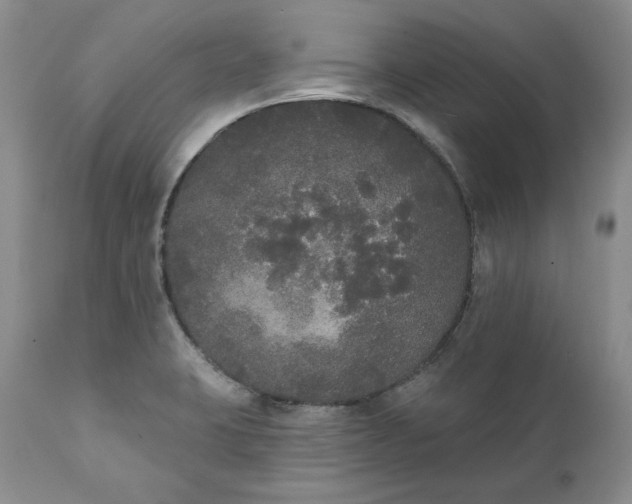 X0000111441423200907271119