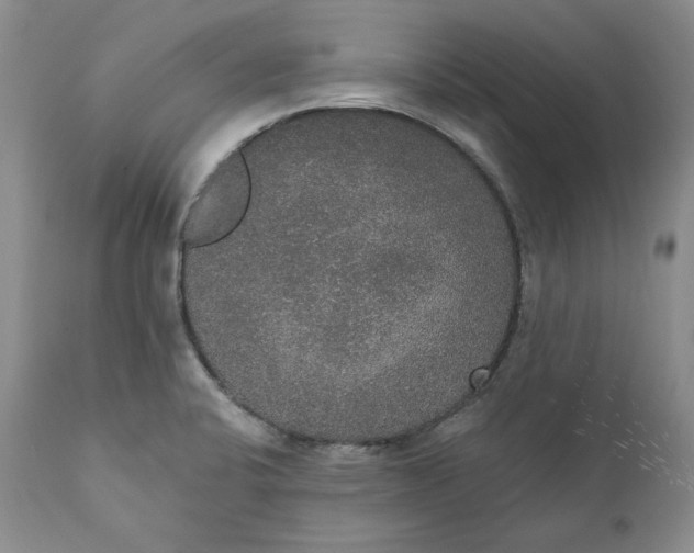 X0000111441424200907271119