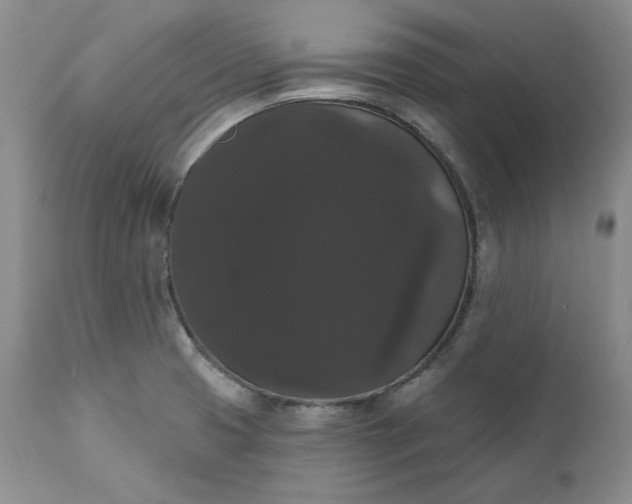 X0000111441425200907271119