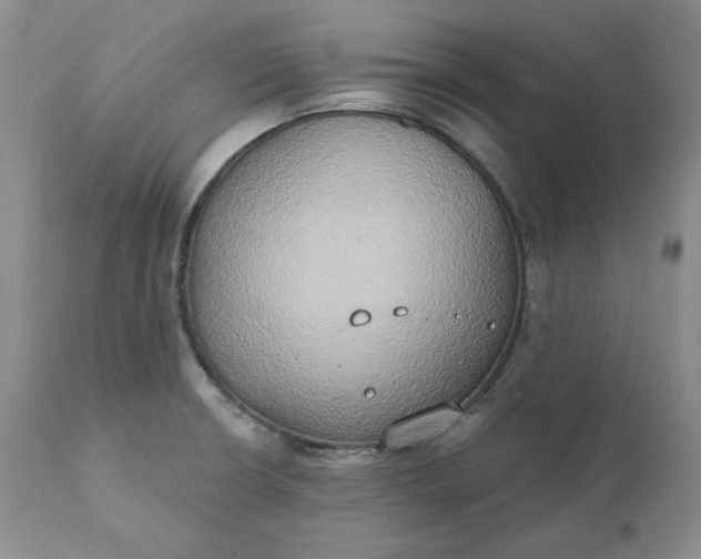 X0000111441426200907271119