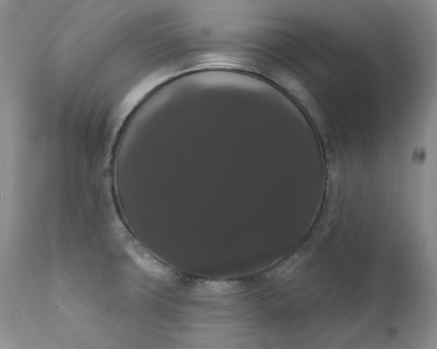 X0000111441427200907271119