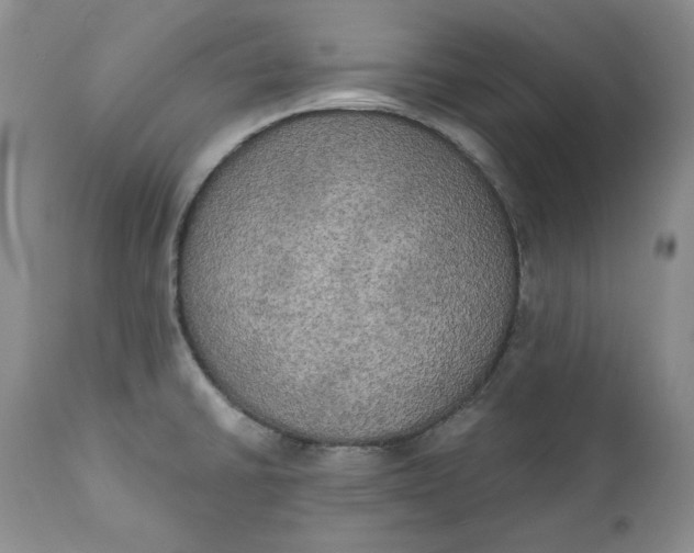 X0000111441430200907271119