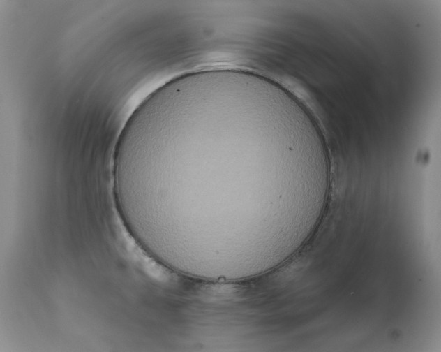 X0000111441431200907271119