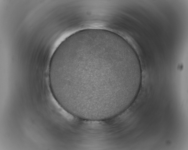 X0000111441432200907271119