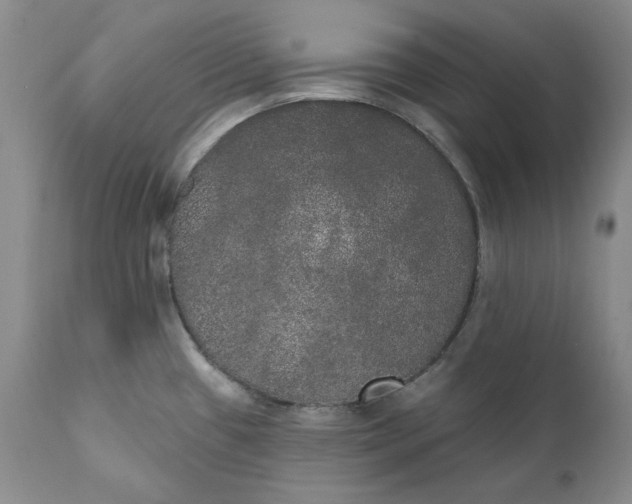 X0000111441433200907271119