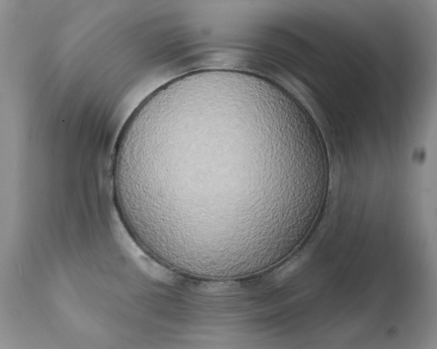 X0000111441434200907271119