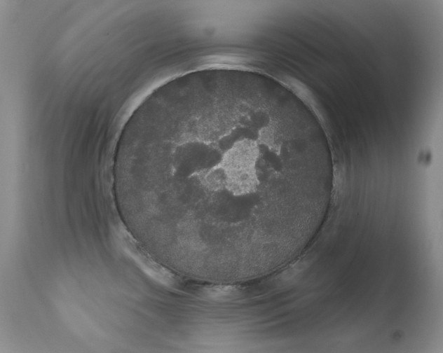 X0000111441435200907271119