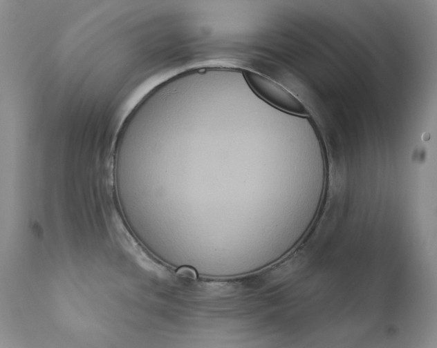 X0000111441436200907271119