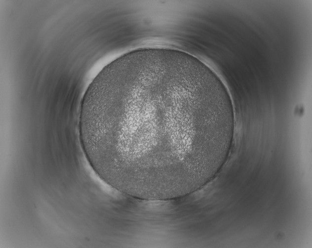 X0000111441437200907271119