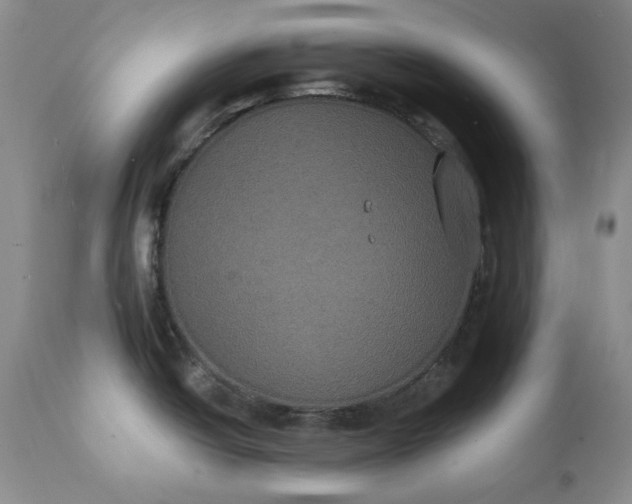 X0000111441438200907271119