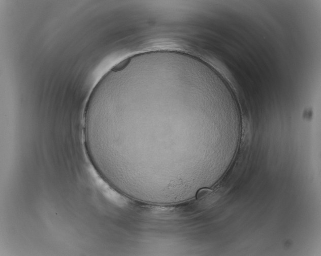 X0000111441439200907271119