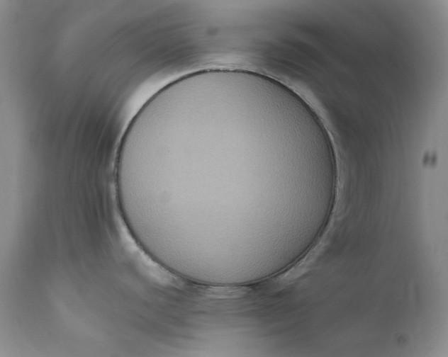 X0000111441440200907271119