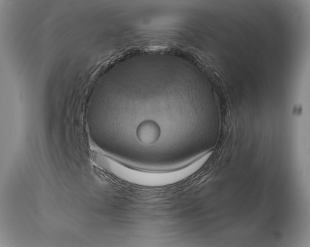 X0000111441441200907271118