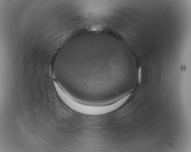 X0000111441443200907271118