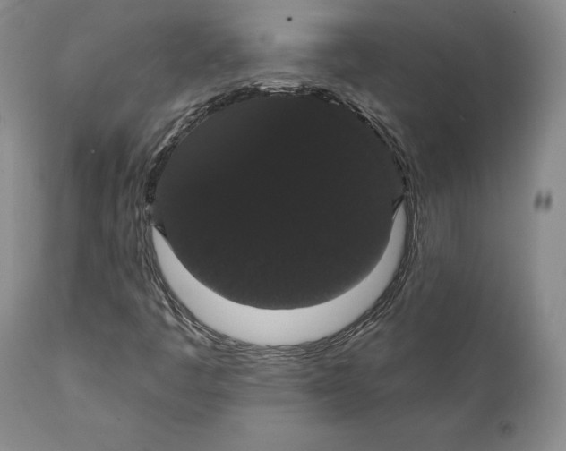 X0000111441445200907271118