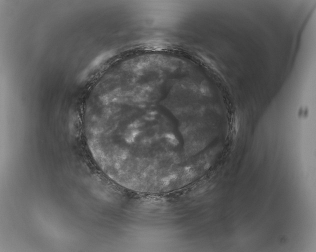 X0000111441446200907271118