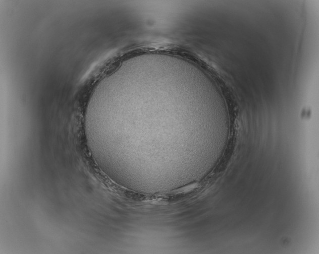 X0000111441447200907271118