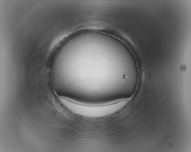 X0000111441448200907271118