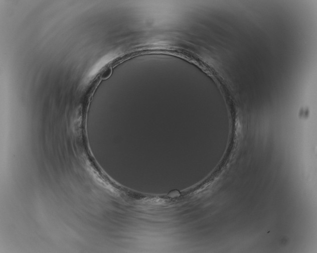 X0000111441450200907271118