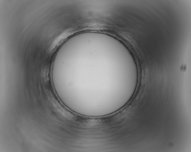 X0000111441451200907271118