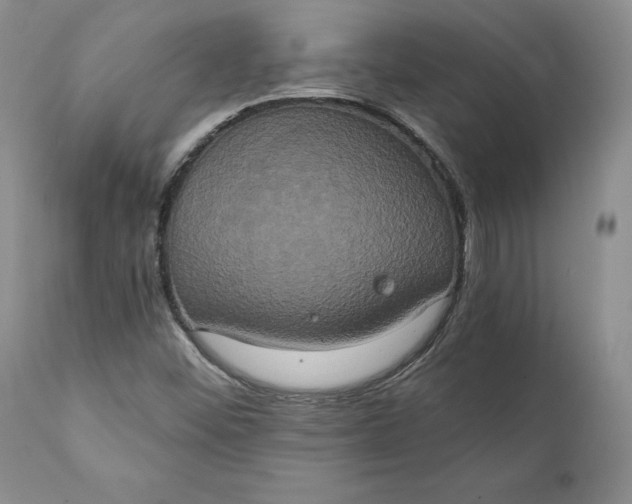 X0000111441452200907271118