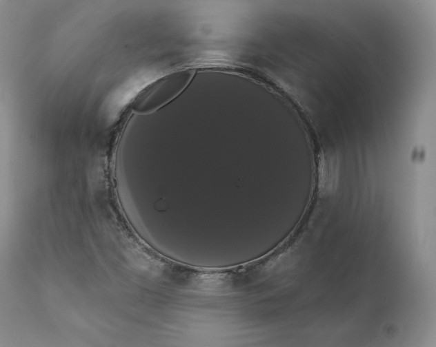 X0000111441453200907271118