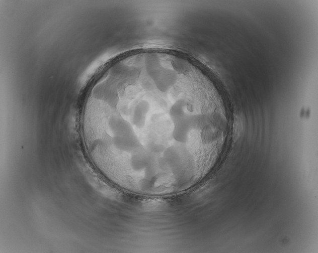 X0000111441454200907271118