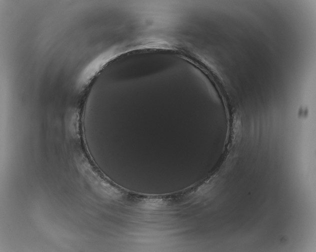 X0000111441455200907271118